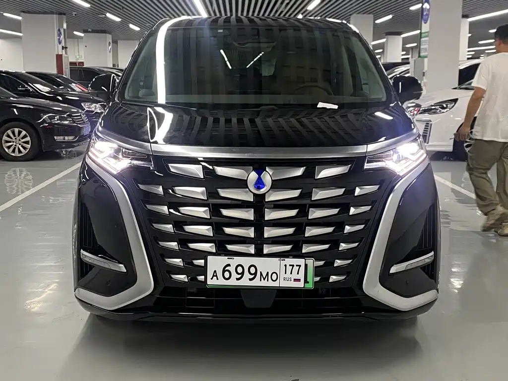 Denza Denza D9 — миниатюра 2