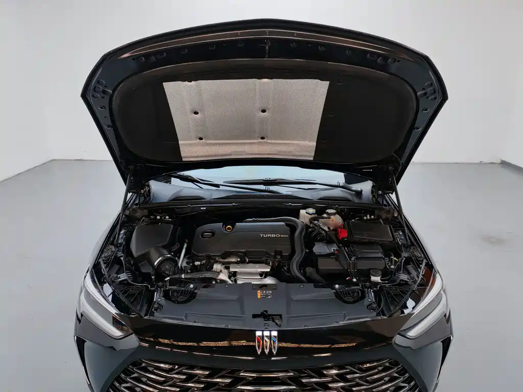 Buick Regal — миниатюра 11