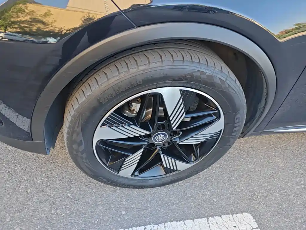 BYD Tang New Energy — миниатюра 23