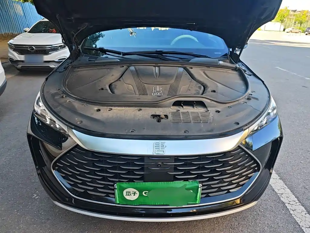 BYD Tang New Energy — миниатюра 20