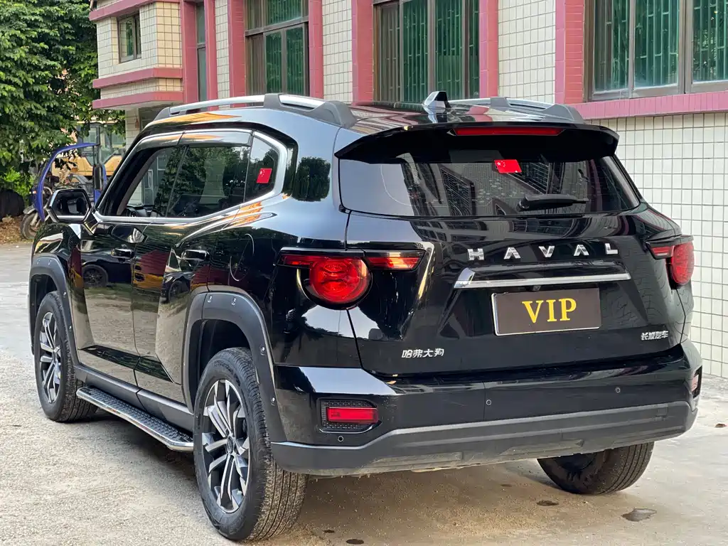 Haval Big Dog PLUS — миниатюра 9