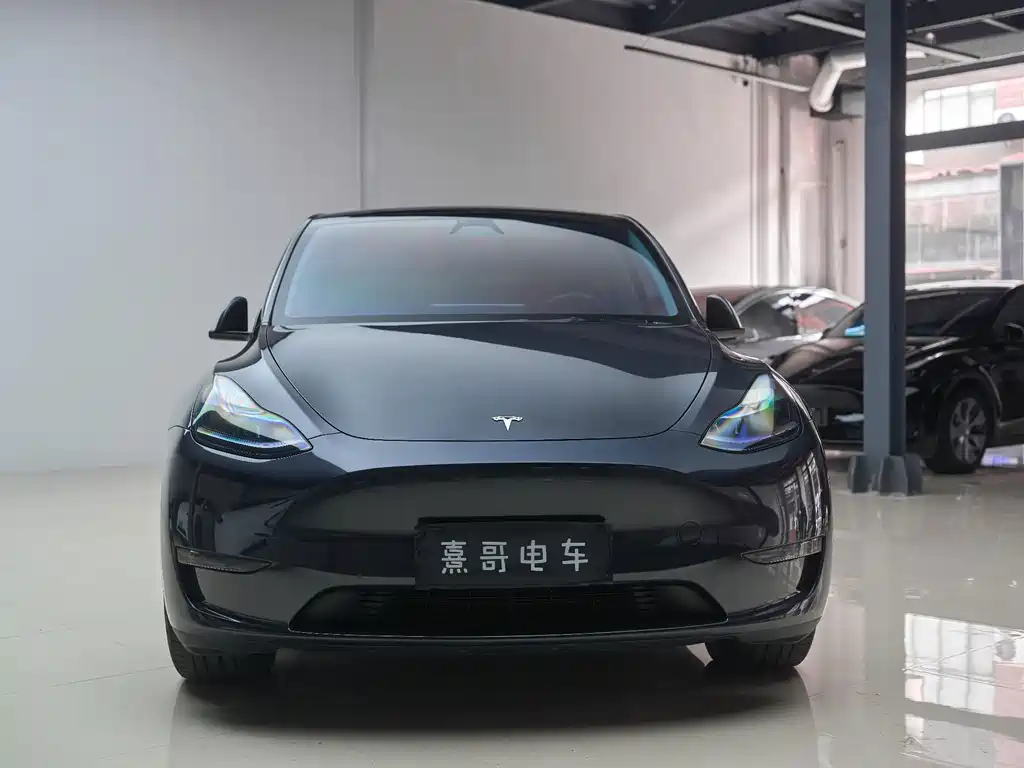 Tesla Model Y — миниатюра 9