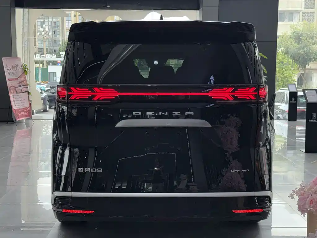 Denza Denza D9 — миниатюра 8