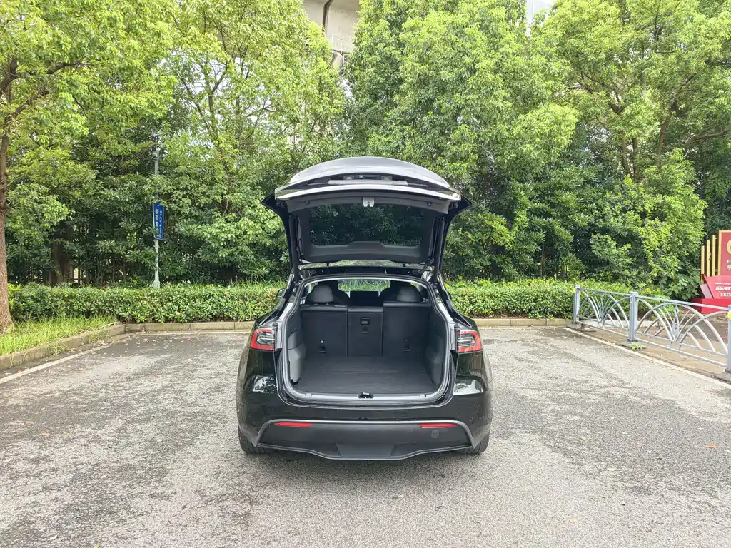 Tesla Model Y — миниатюра 16