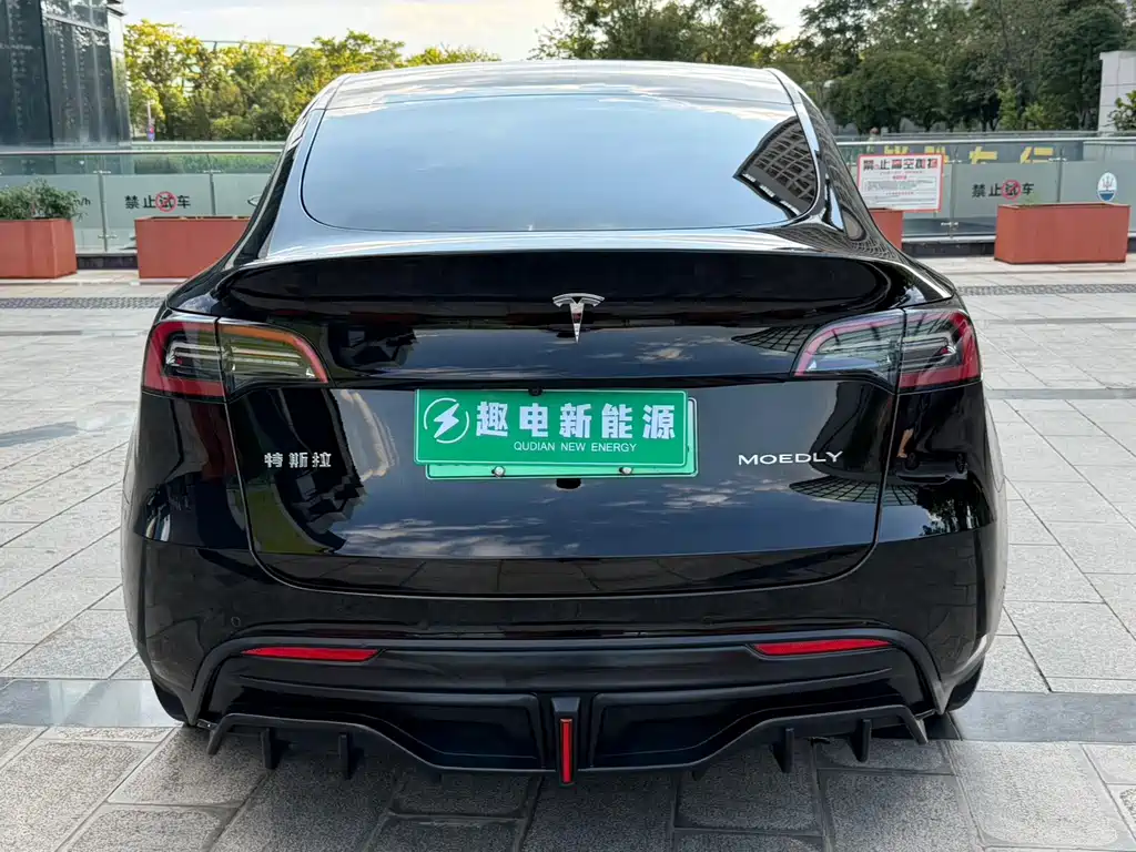 Tesla Model Y — миниатюра 13