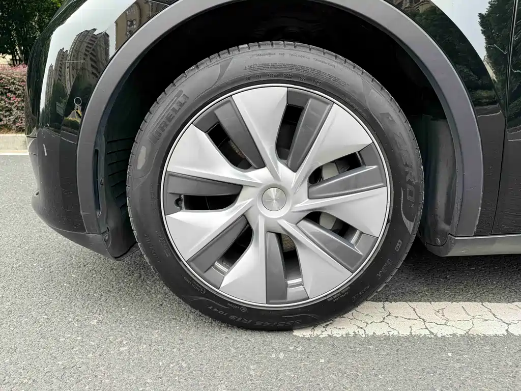Tesla Model Y — миниатюра 4