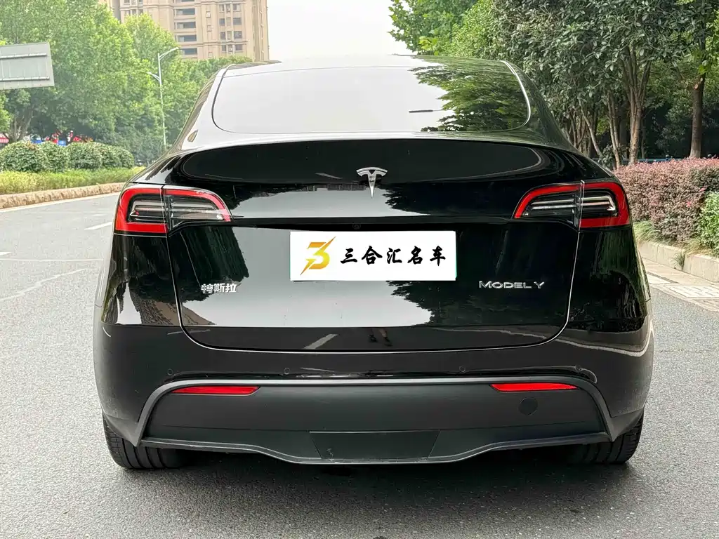 Tesla Model Y — миниатюра 9