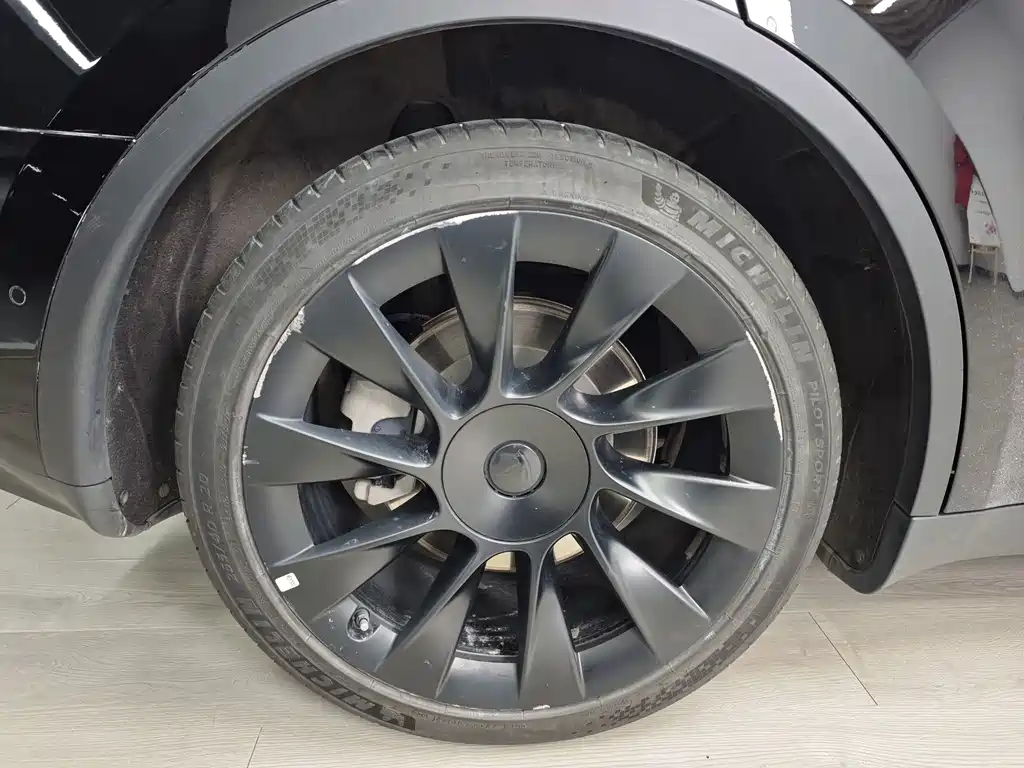 Tesla Model Y — миниатюра 59