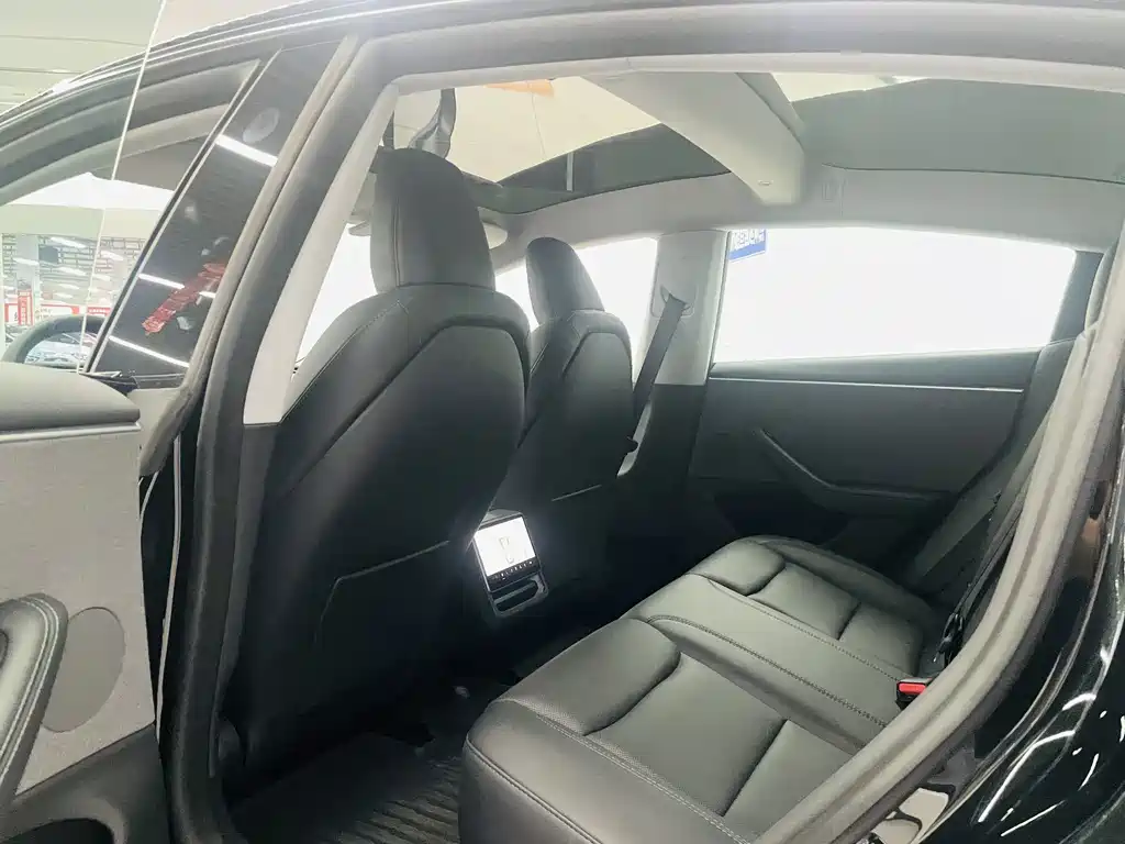 Tesla Model 3 — миниатюра 11