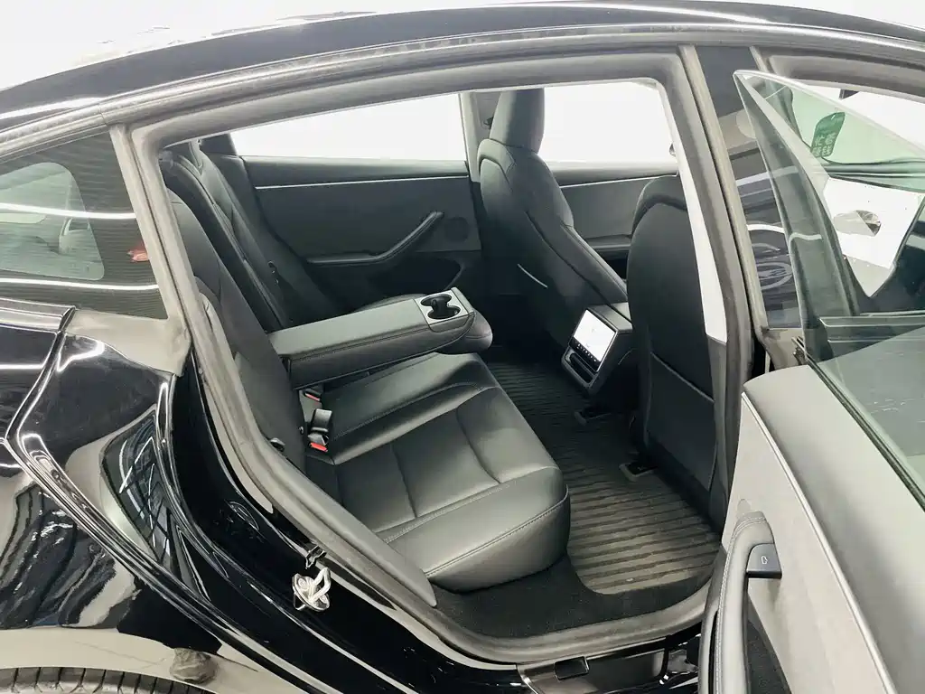 Tesla Model 3 — миниатюра 13