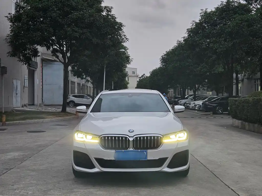 BMW 5 Series — миниатюра 2