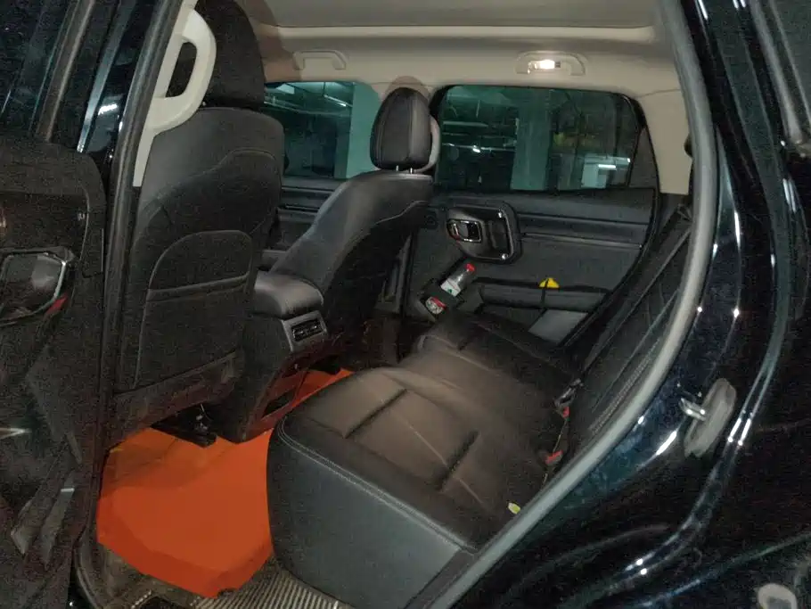 Haval Big Dog PLUS — миниатюра 11
