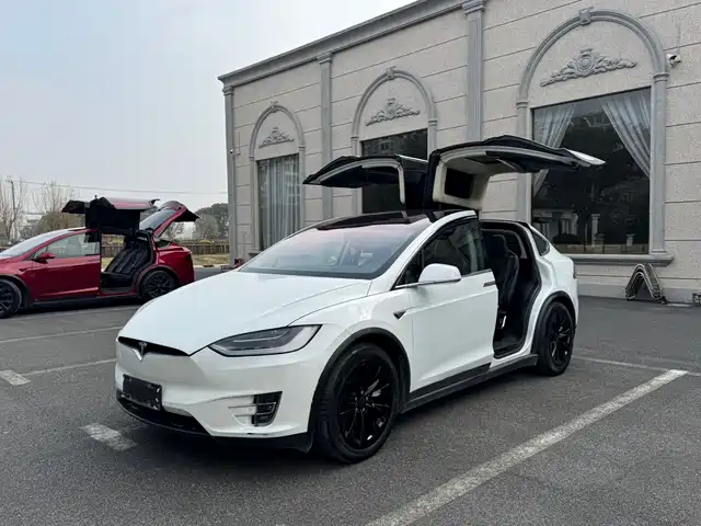 TESLA MODEL X 2017