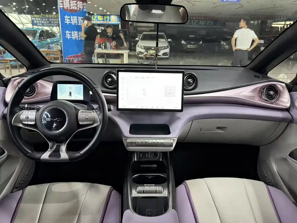 BYD Dolphin — миниатюра 8