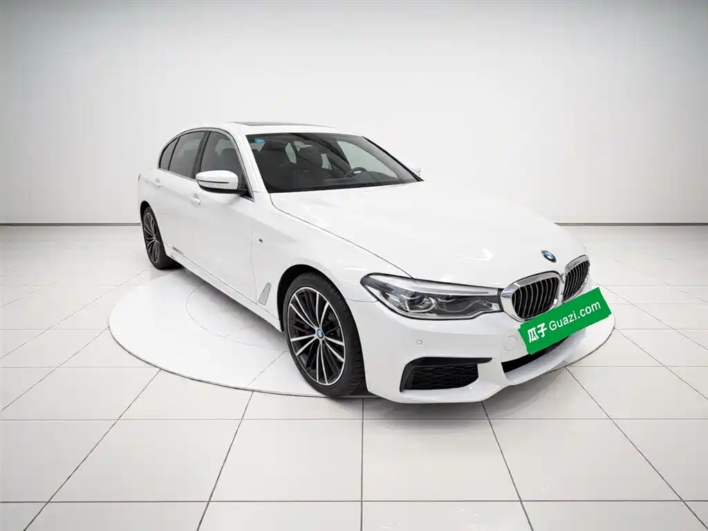 BMW 5 Series 5 2020 530Li Premium M Sport