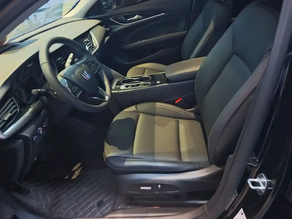 Buick Regal — миниатюра 15