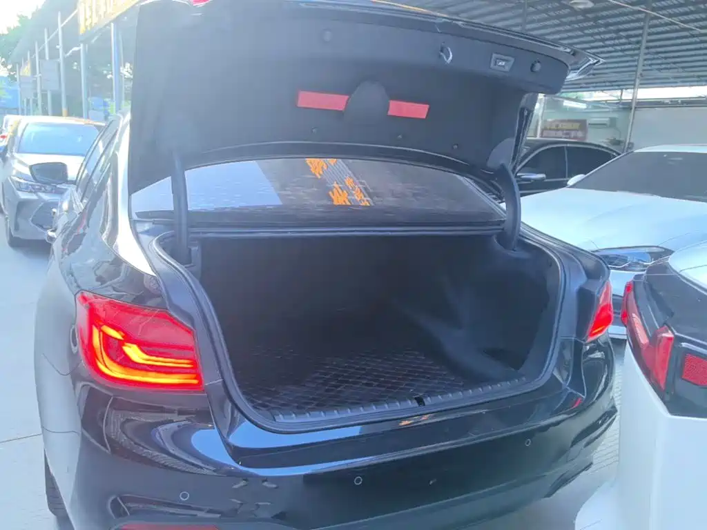 BMW 5 Series — миниатюра 19