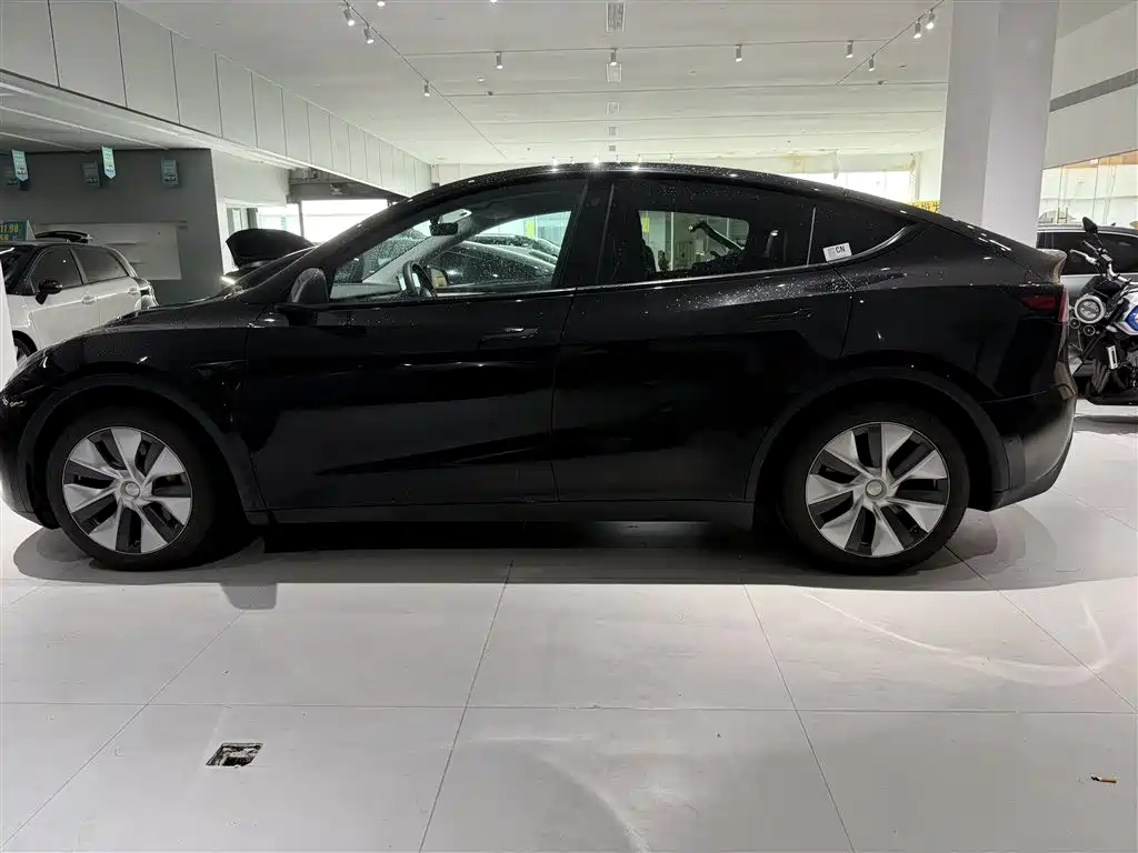 Tesla Model Y — миниатюра 7