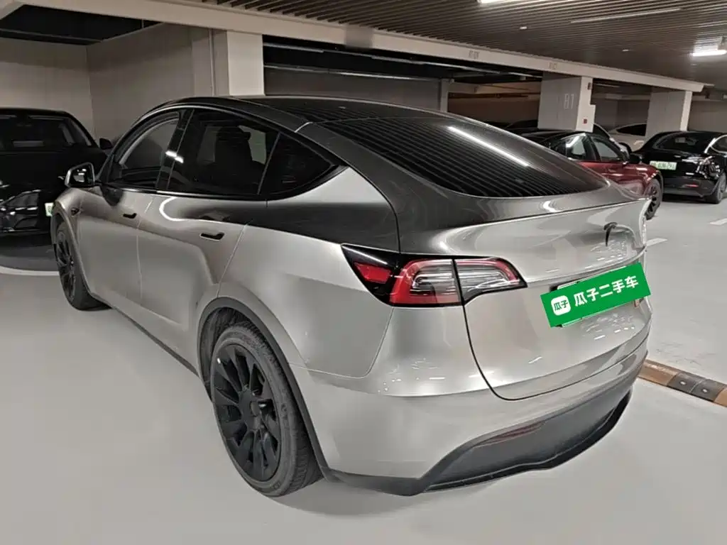 Tesla Model Y — миниатюра 5