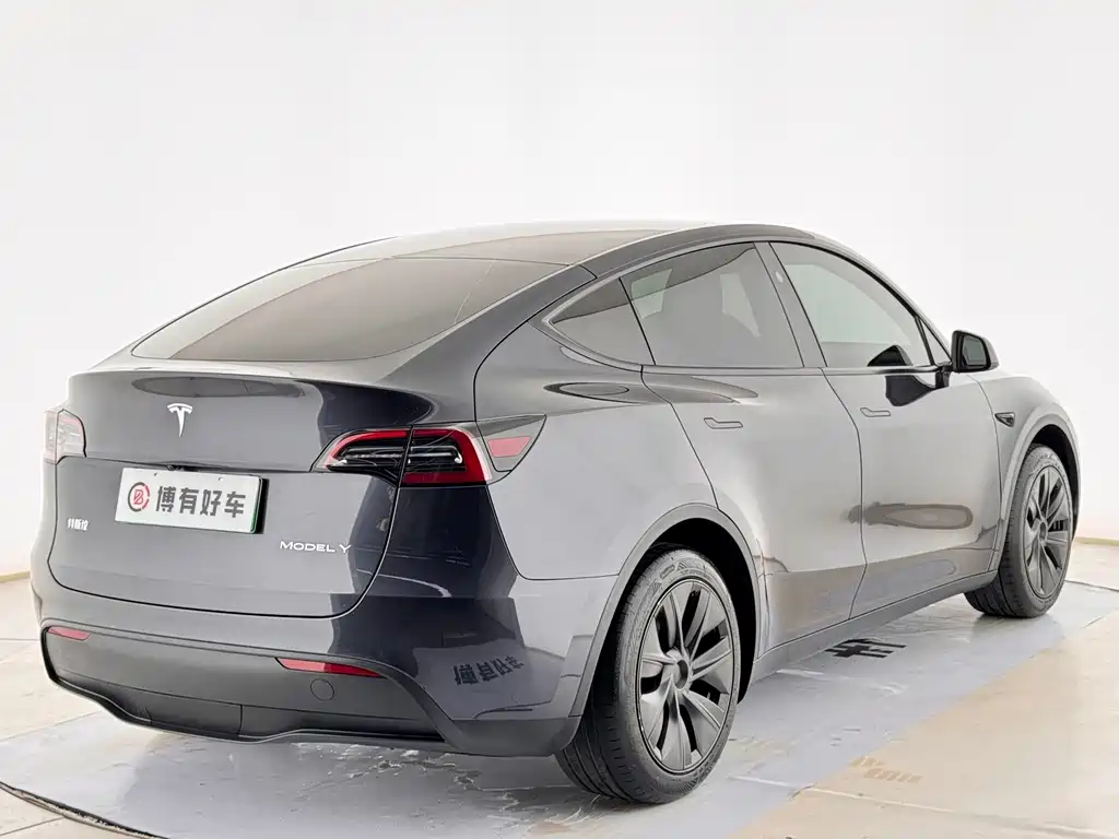 Tesla Model Y — миниатюра 13
