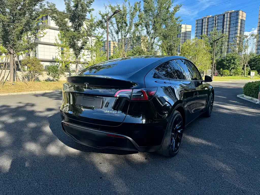 Tesla Model Y — фотографии объявления, Фото 8