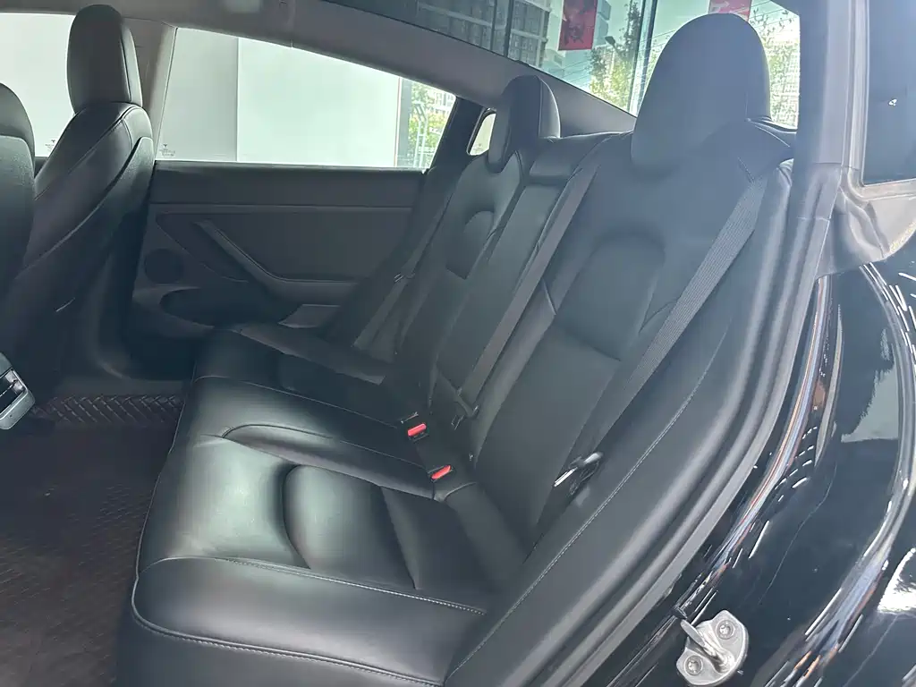 Tesla Model 3 — миниатюра 19