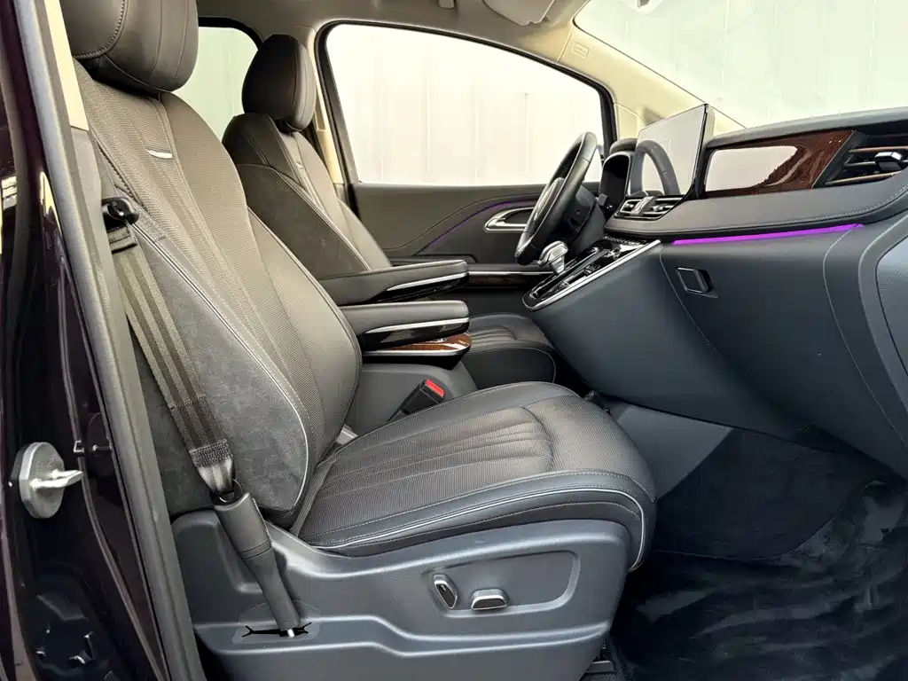 Hongqi Hongqi HQ9 — миниатюра 10