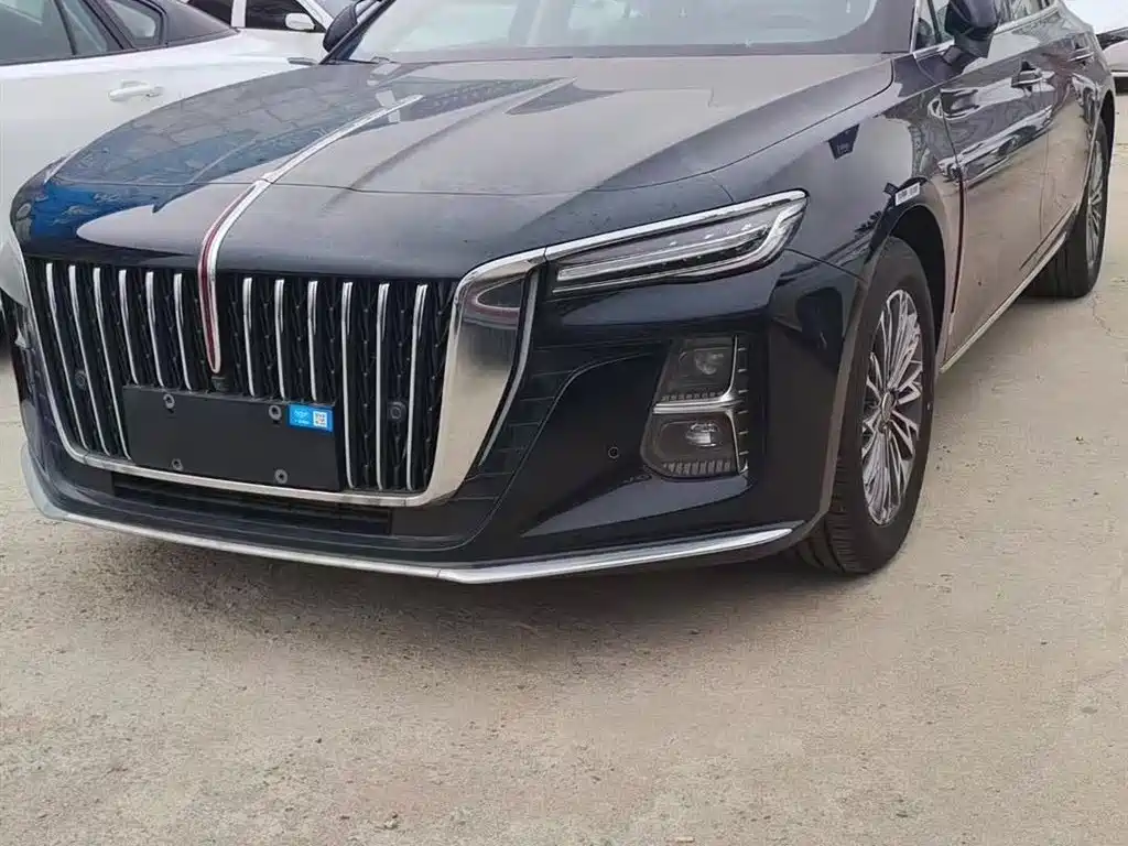 Hongqi H5 2024 2.0T AT