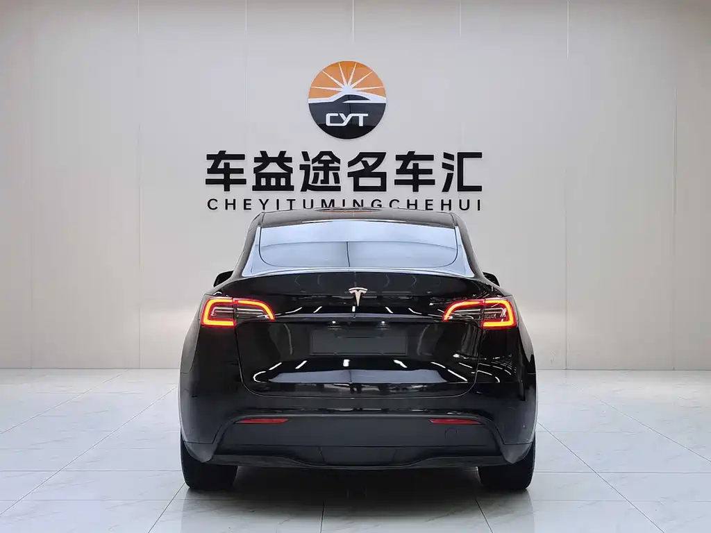 Tesla Model Y — миниатюра 4