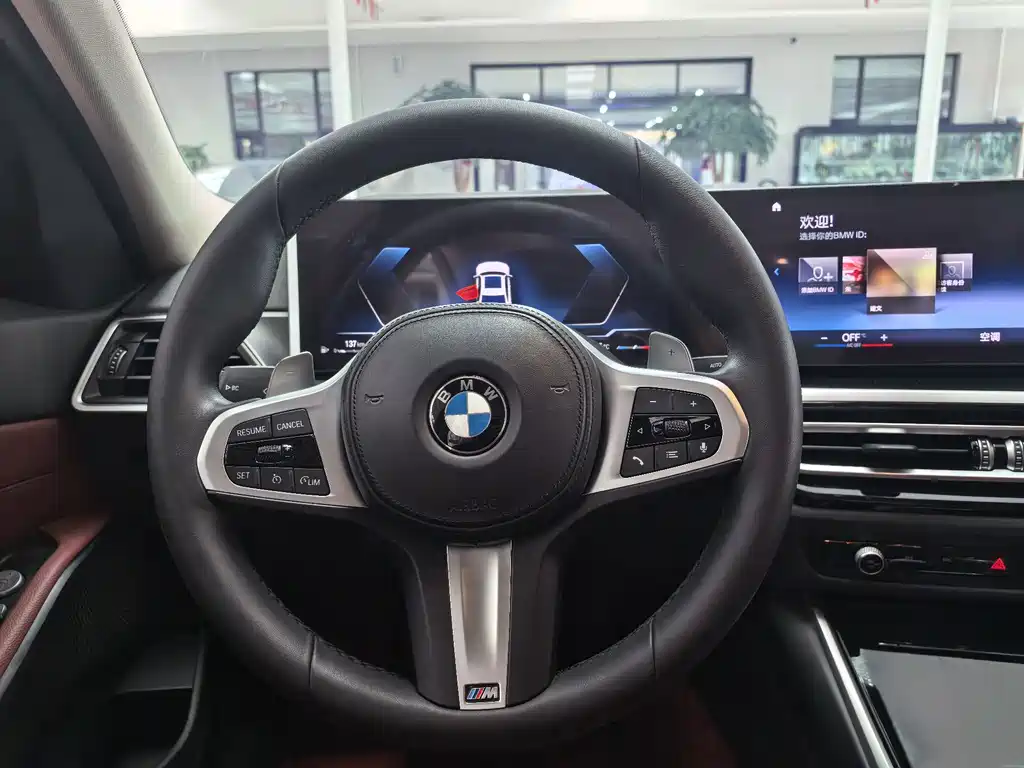 BMW 3 Series — миниатюра 17
