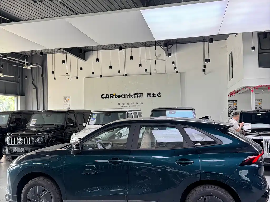 Dongfeng T5 2026 530km Premium