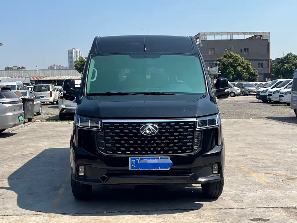 MAXUS V80 — миниатюра 2