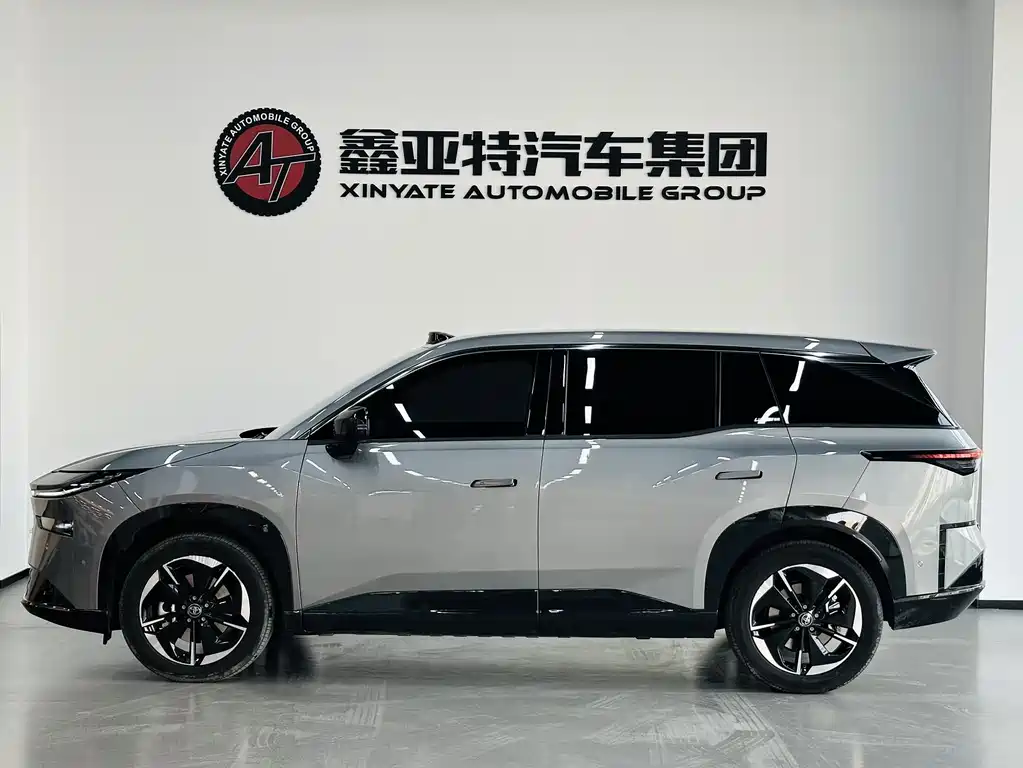 TOYOTA PLATINUM WISDOM 3X