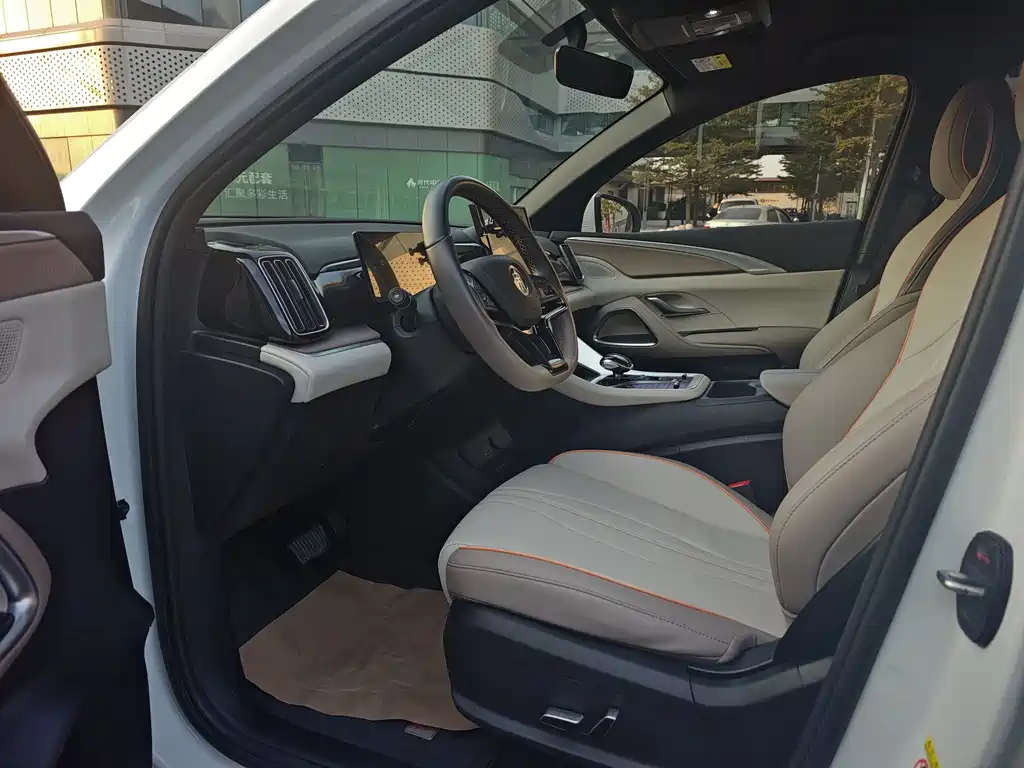 BYD SONGJIANG NEW ENERGY