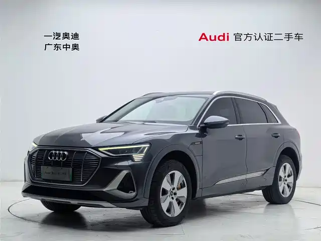 AUDI E TRON 2024
