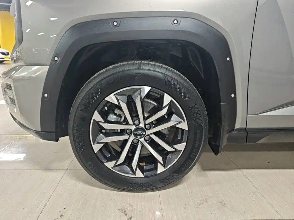 Haval Big Dog PLUS — миниатюра 23