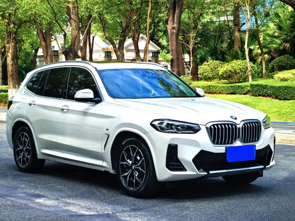 BMW X3 — миниатюра 2