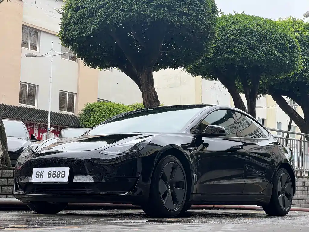 Tesla Model 3 2021 3D1