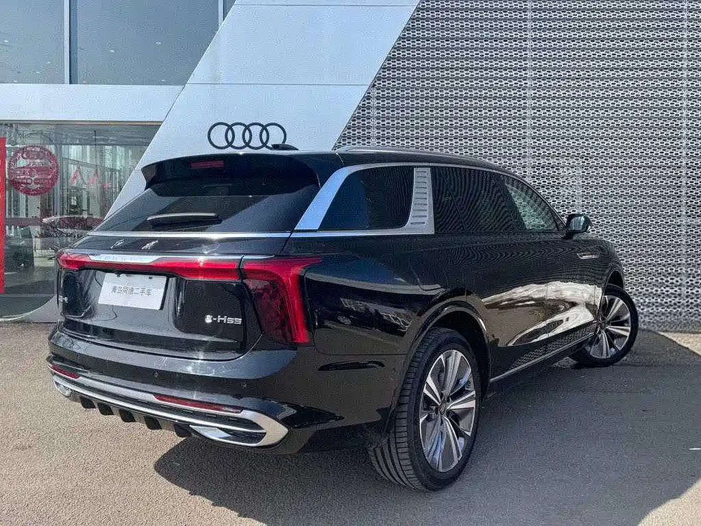 Hongqi HONGQI E HS9