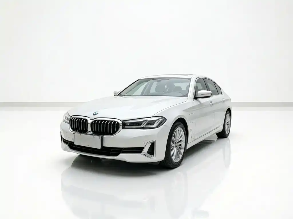 BMW 5 Series New Energy 2021