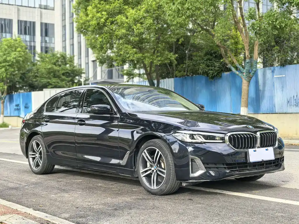 BMW 5 Series 5 2021 530Li Lead Luxury