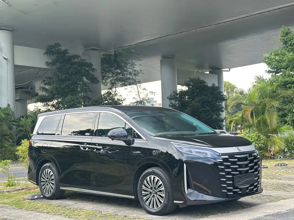 BYD Xia — миниатюра 3