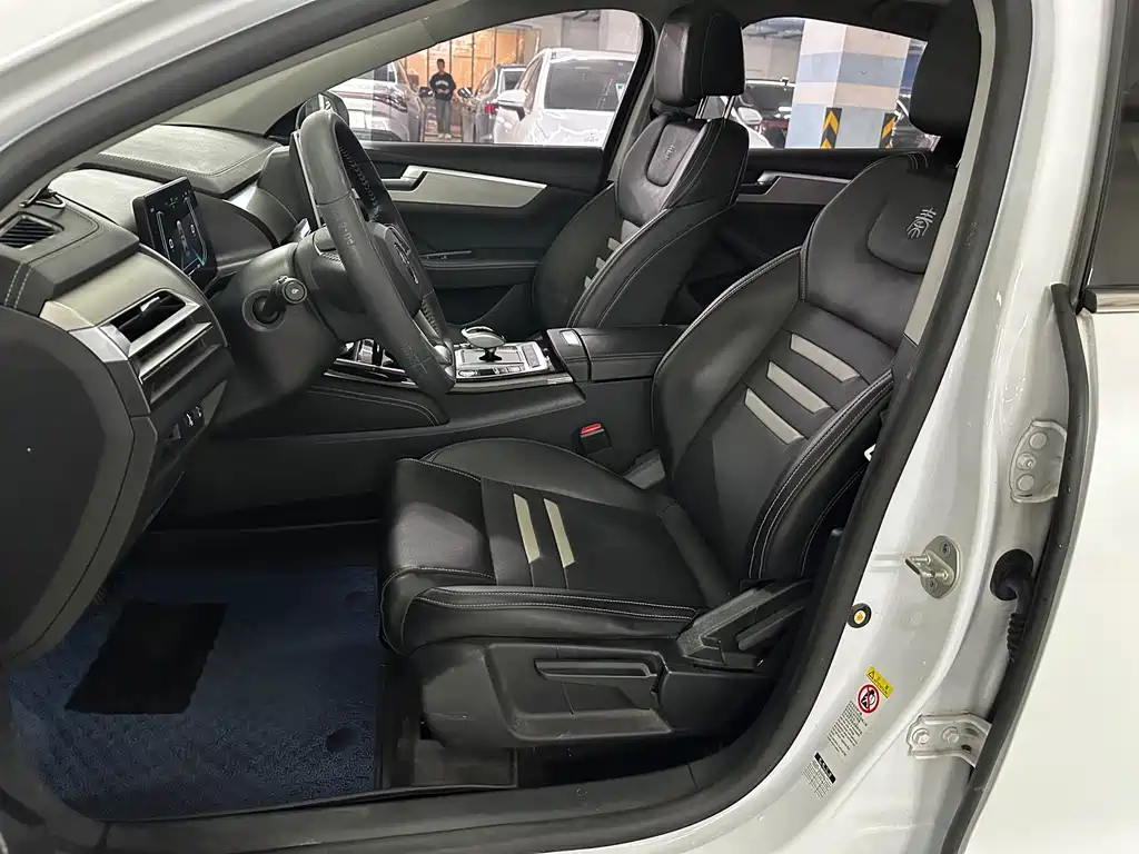 BYD Qin Pro NEV — миниатюра 8