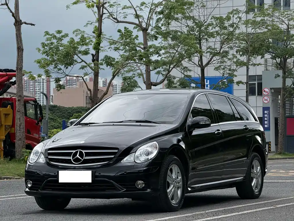 Mercedes-Benz R 2010 R 300 L