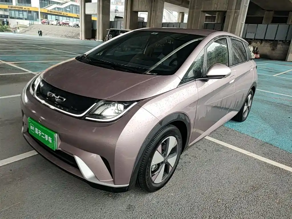 Byd Dolphin 2023