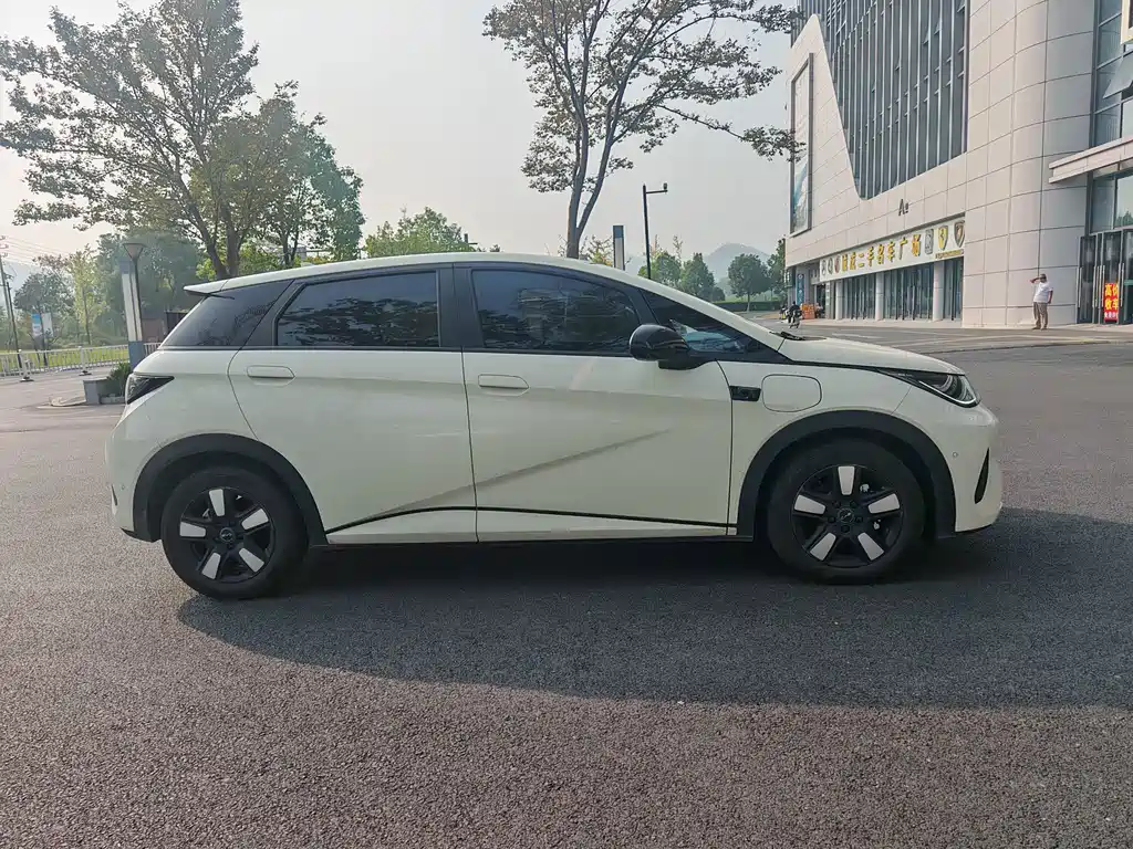 BYD Dolphin — миниатюра 12