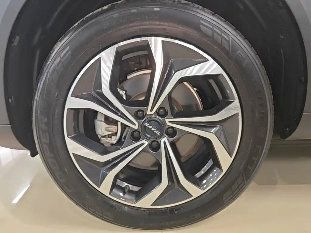 Haval Shenshou — миниатюра 23
