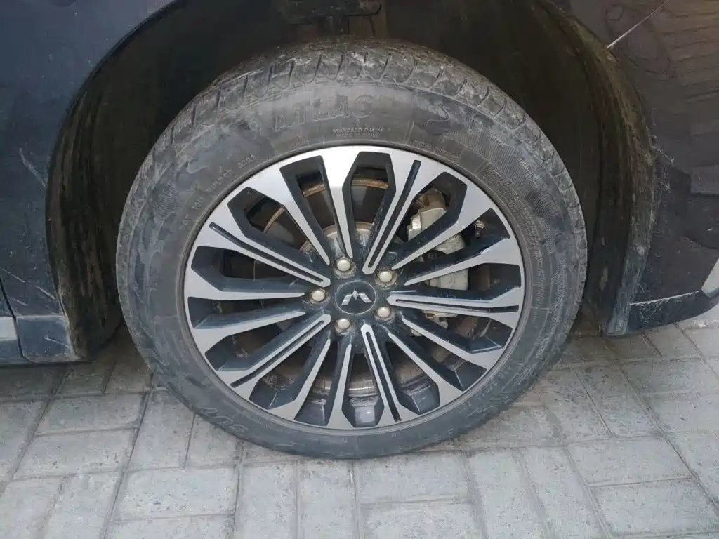 Wuling Victory — миниатюра 8