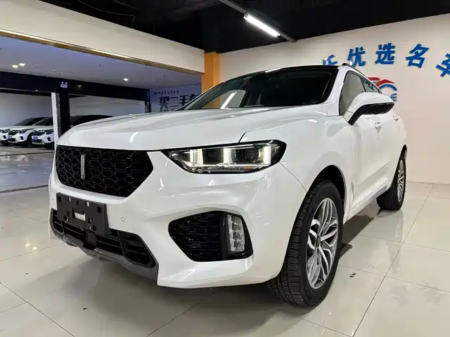 2017 Wey VV5