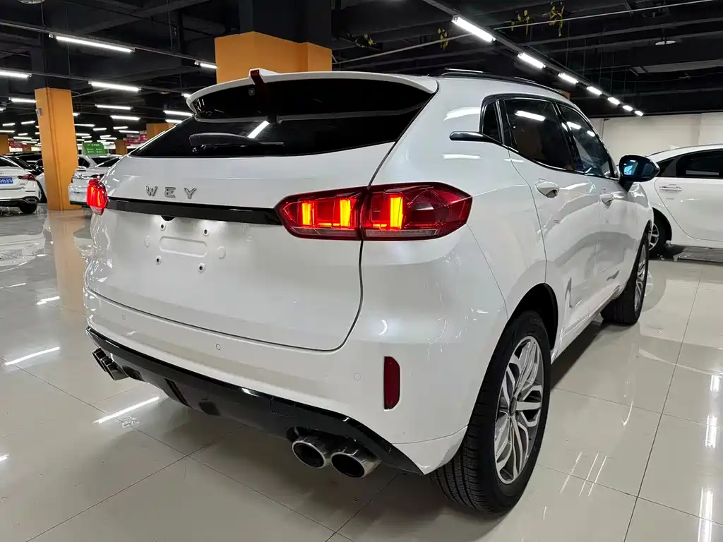 Wey VV5 2.0T Super Luxury Type, фото 14